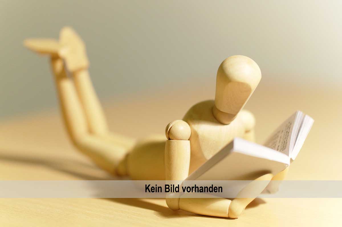 AV Band 9 - Waltraud Schreiber - Geschichte vermitteln, Geschichte rezipieren